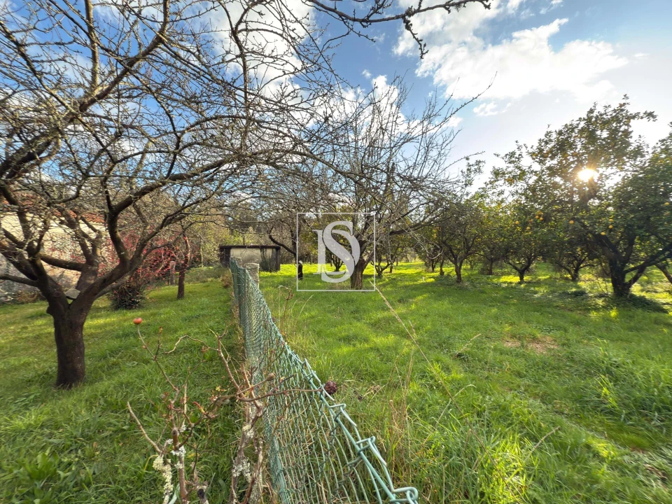 Quinta T6 para Venda em Valdreu Foto 18