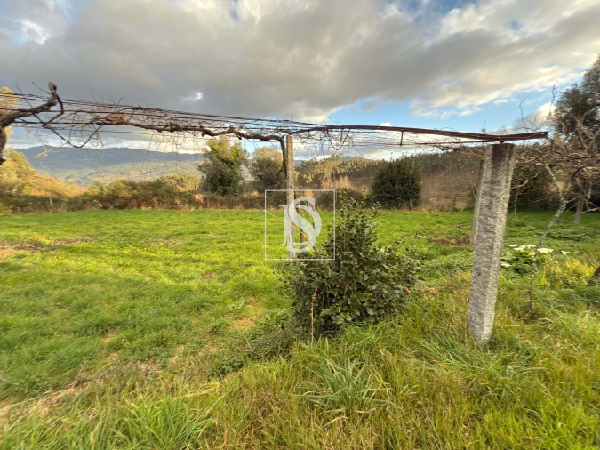 Quinta T6 para Venda em Valdreu Foto 20