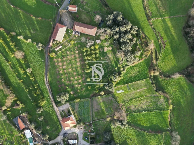 Quinta T6 para Venda em Valdreu Foto 24