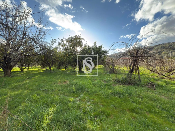 Quinta T6 para Venda em Valdreu Foto 16