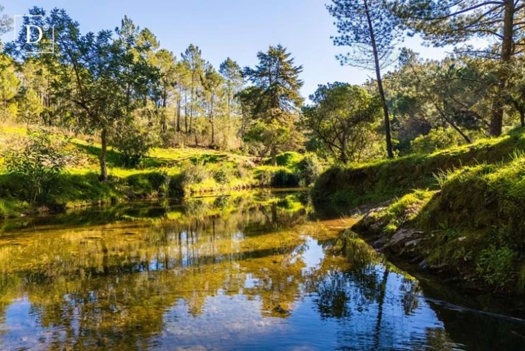 Moradia T2 para Venda em São Brás de Alportel Foto 28