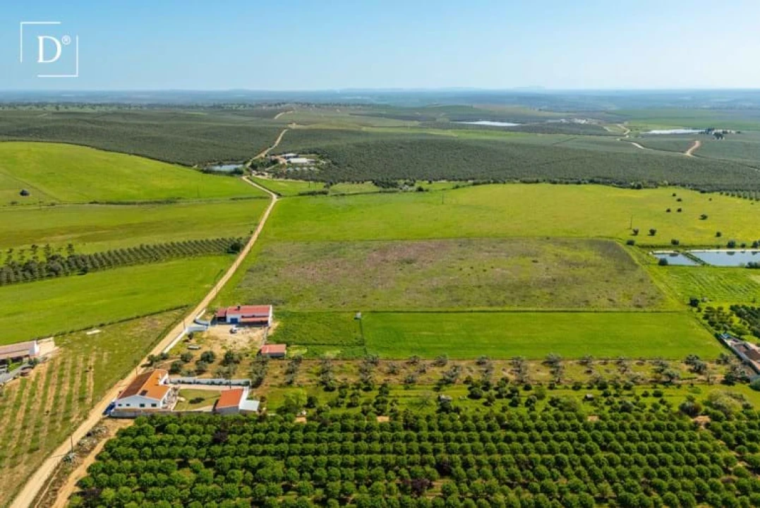 Moradia T3 para Venda em Beja (Salvador e Santa Maria da Feira) Foto 44