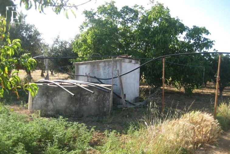 Moradia T3 para Venda em Beja (Salvador e Santa Maria da Feira) Foto 11