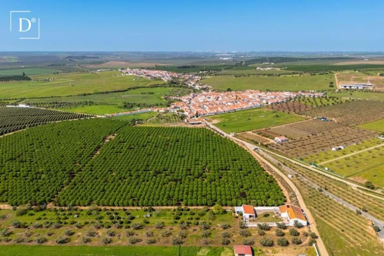 Moradia T3 para Venda em Beja (Salvador e Santa Maria da Feira) Foto 42