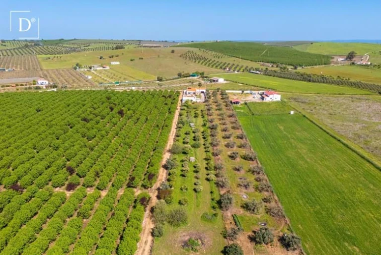 Moradia T3 para Venda em Beja (Salvador e Santa Maria da Feira) Foto 3