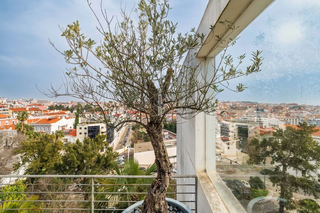 Apartamento T6 para Venda em Estrela Foto 15
