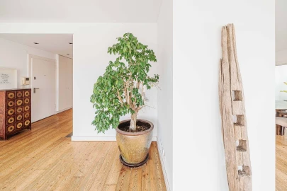 Apartamento T6 para Venda em Estrela