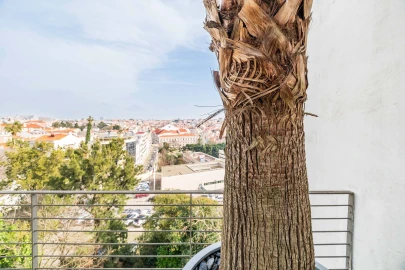 Apartamento T6 para Venda em Estrela