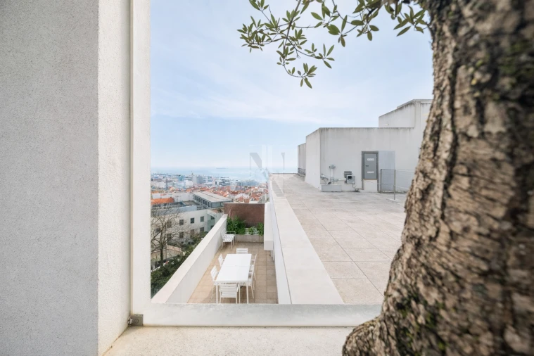 Apartamento T6 para Venda em Estrela Foto 14