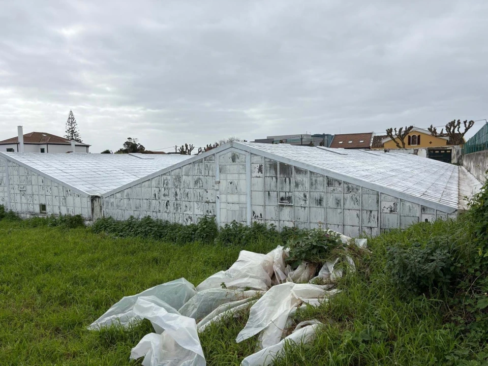 Terreno Agricola ou Rústico para Venda em Fajã de Baixo Foto 6