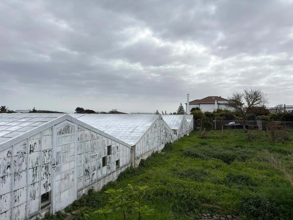 Terreno Agricola ou Rústico para Venda em Fajã de Baixo Foto 4
