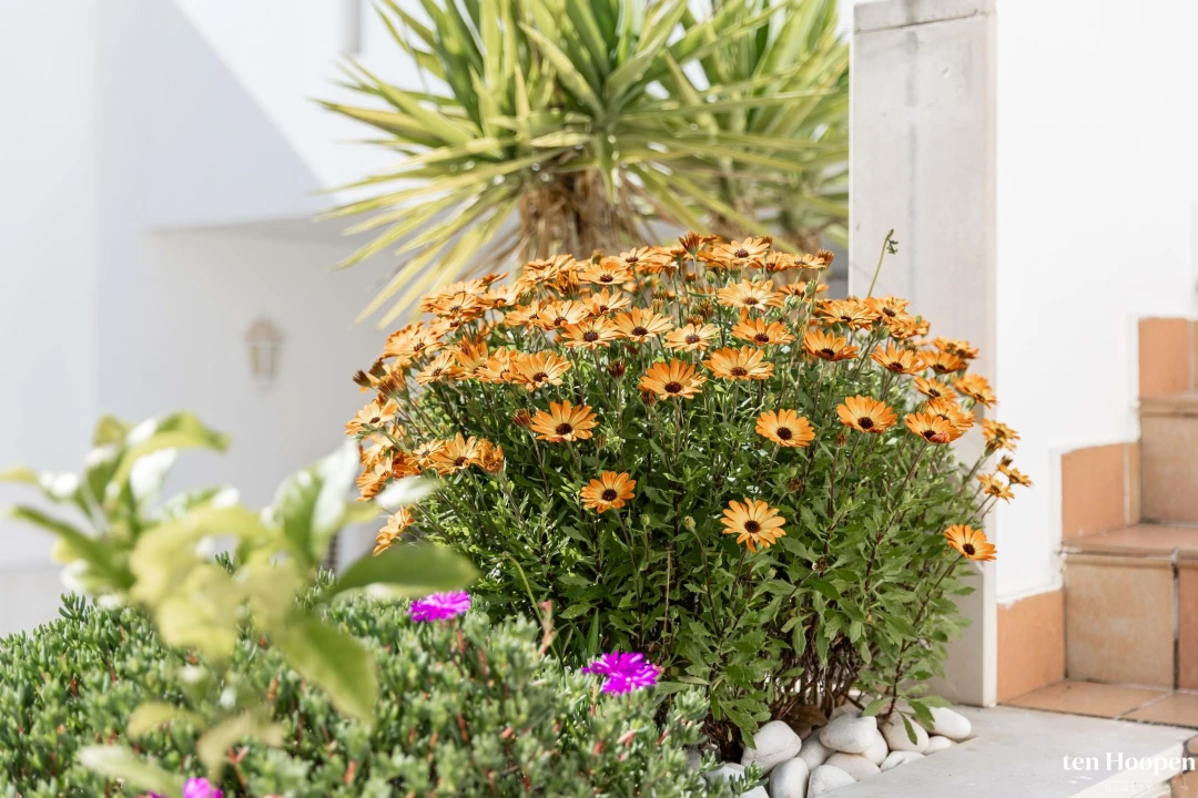 Apartamento T2 para Venda em Lagos (São Sebastião e Santa Maria) Foto 42