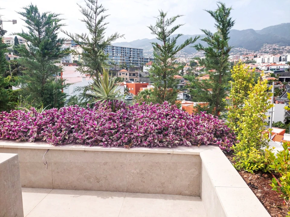 Apartamento T2 para Venda em São Martinho Foto 17