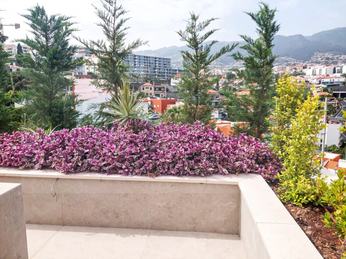 Apartamento T2 para Venda em São Martinho Foto 17