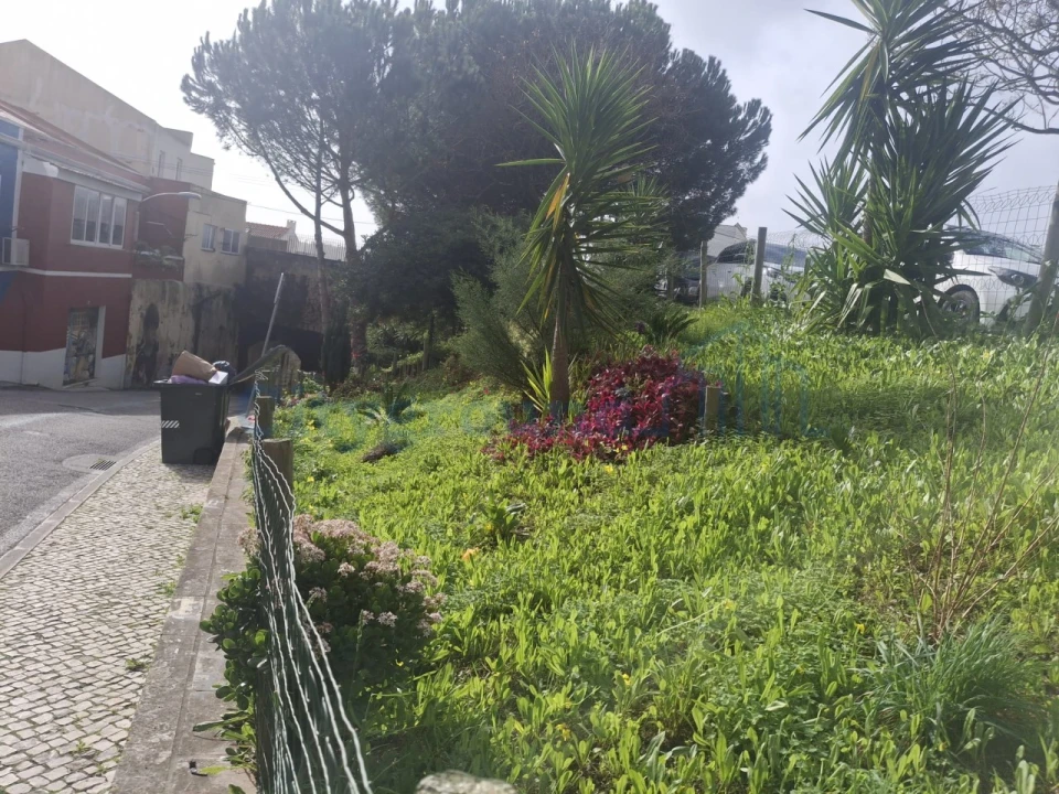 Moradia T2 para Venda em Campolide Foto 5