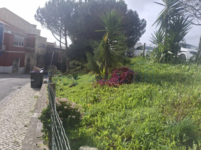 Moradia T2 para Venda em Campolide Foto 5