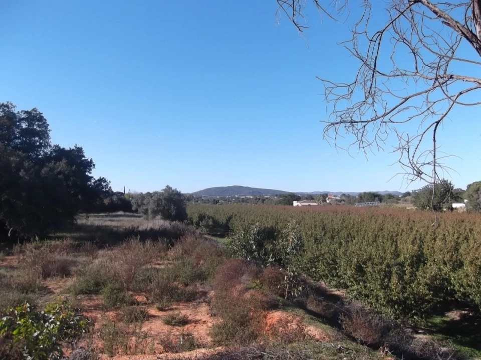 Terreno para Venda em Moncarapacho e Fuseta Foto 1