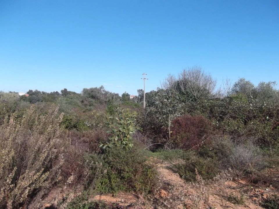 Terreno para Venda em Moncarapacho e Fuseta Foto 5