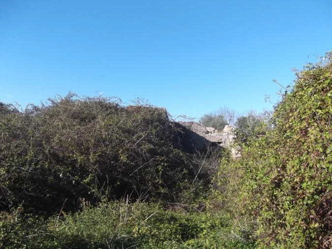 Terreno para Venda em Moncarapacho e Fuseta Foto 3