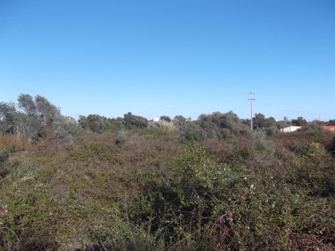 Terreno para Venda em Moncarapacho e Fuseta Foto 7