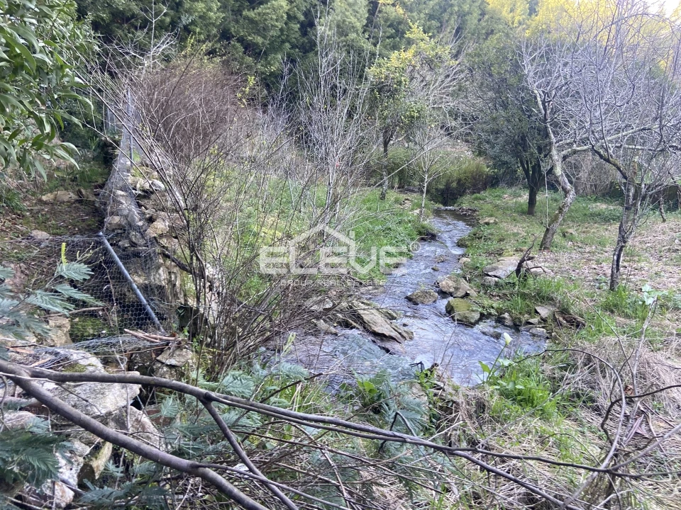 Moradia T2 para Venda em Venade e Azevedo Foto 8