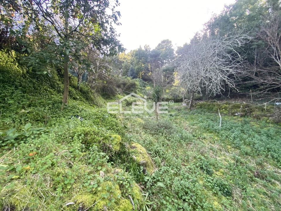 Moradia T2 para Venda em Venade e Azevedo Foto 13