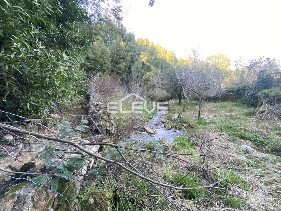 Moradia T2 para Venda em Venade e Azevedo Foto 9