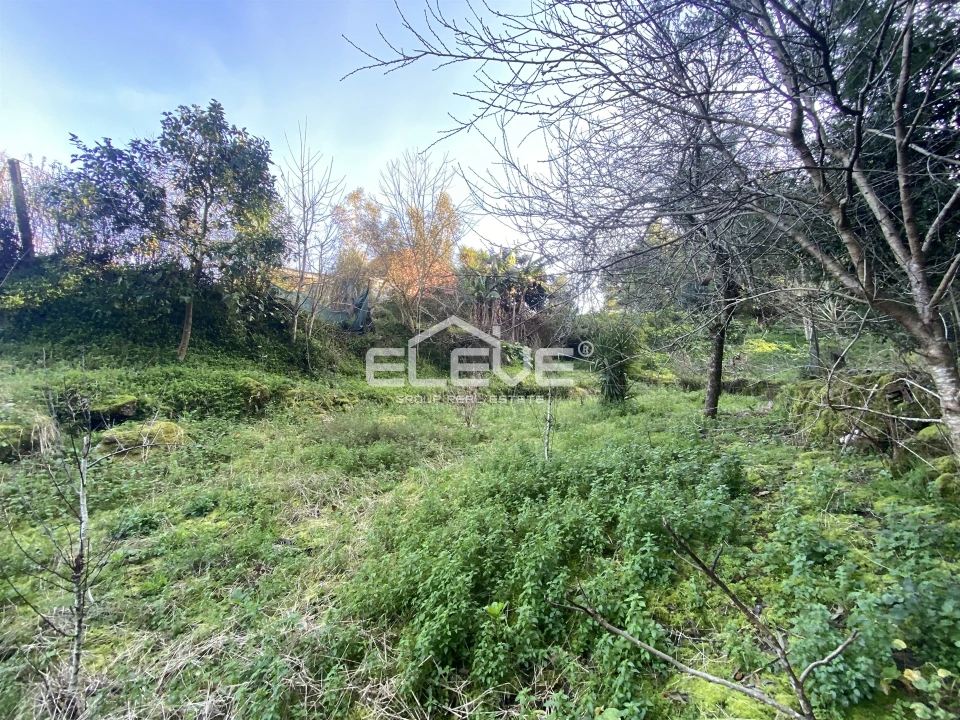 Moradia T2 para Venda em Venade e Azevedo Foto 10