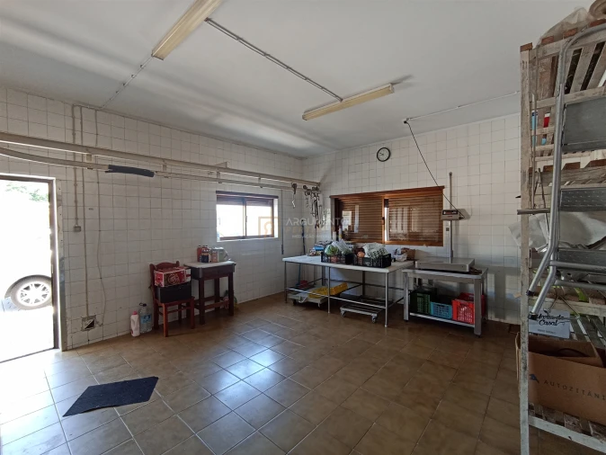 Loja para Arrendamento em Nogueira e Silva Escura Foto 5