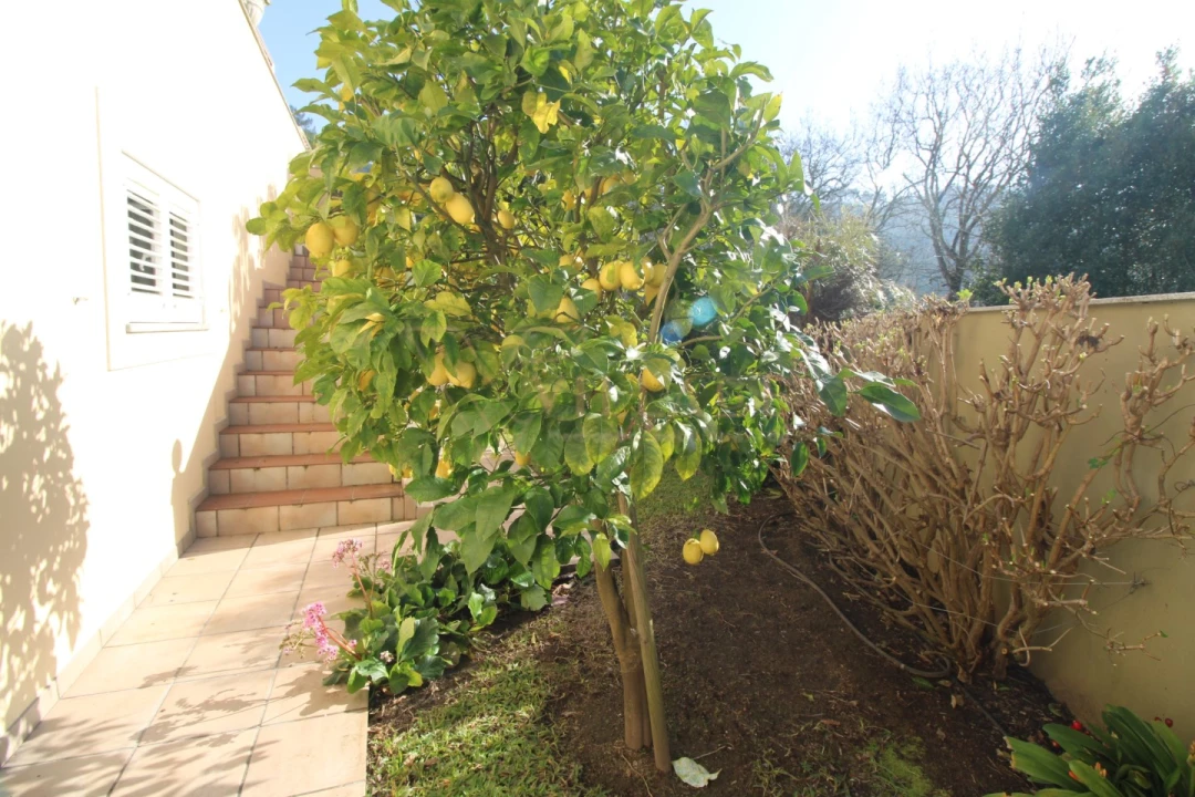 Moradia T5 para Venda em Gondarem Foto 11