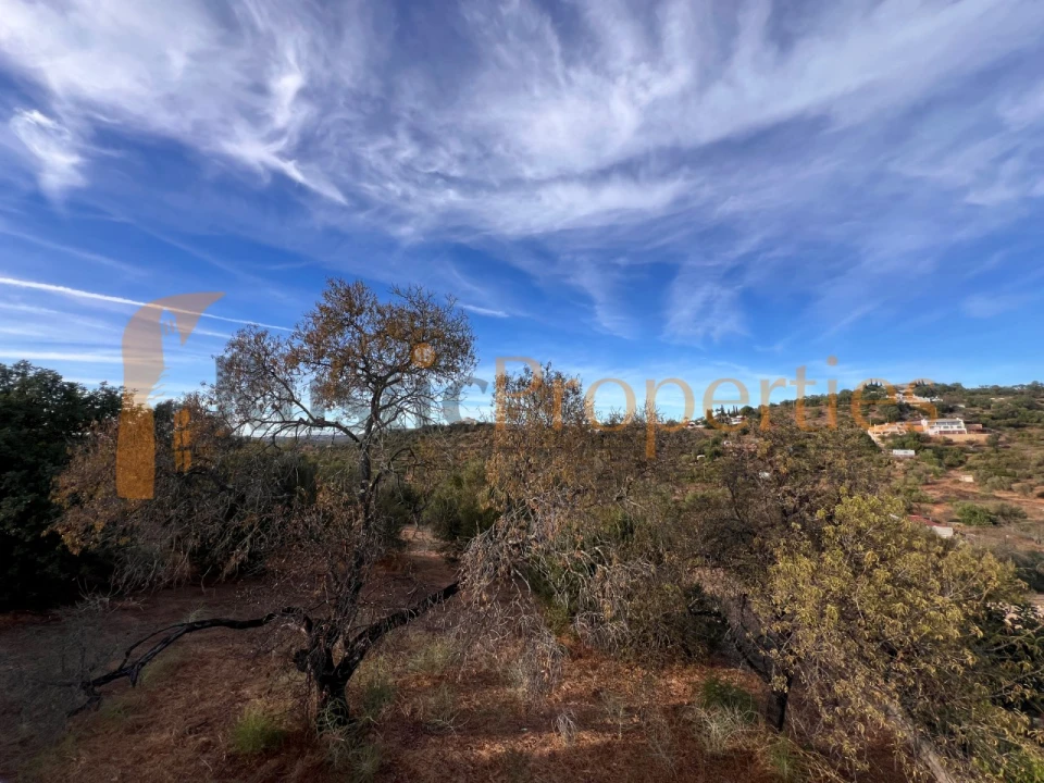 Moradia T3 para Venda em Loule (São Sebastião) Foto 4