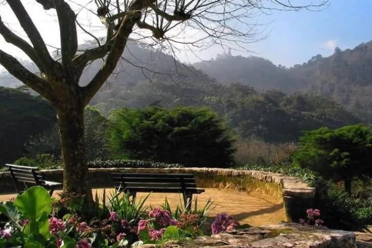 Apartamento T1 para Arrendamento em Santa Maria e São Miguel, São Martinho, São Pedro Penaferrim Foto 15