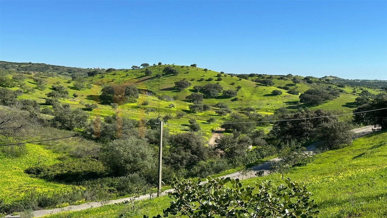 Quinta para Venda em Castro Marim Foto 31