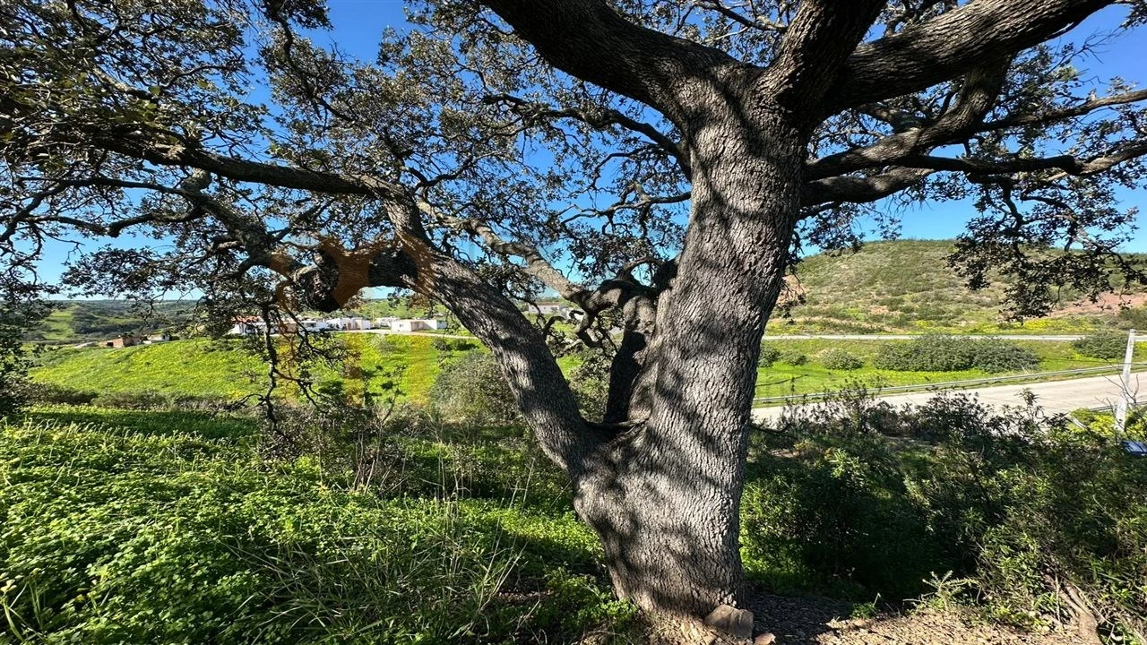 Quinta para Venda em Castro Marim Foto 27