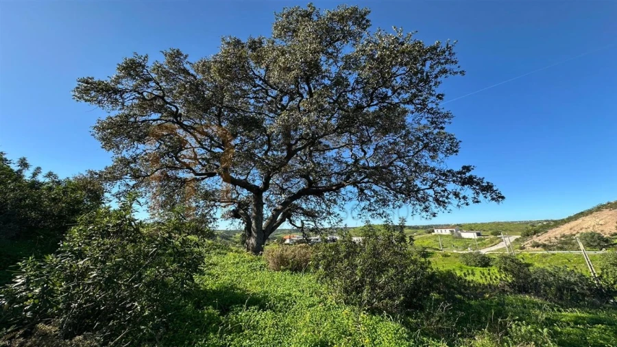 Quinta para Venda em Castro Marim Foto 25