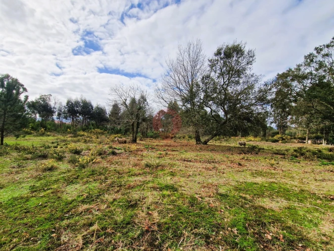 Quinta T2 para Venda em Cerdal Foto 4