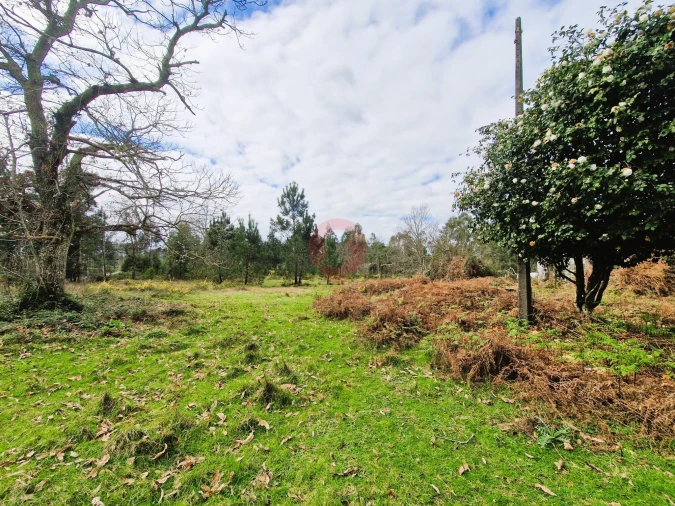 Quinta T2 para Venda em Cerdal Foto 5