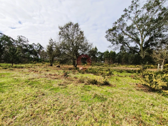 Quinta T2 para Venda em Cerdal Foto 8