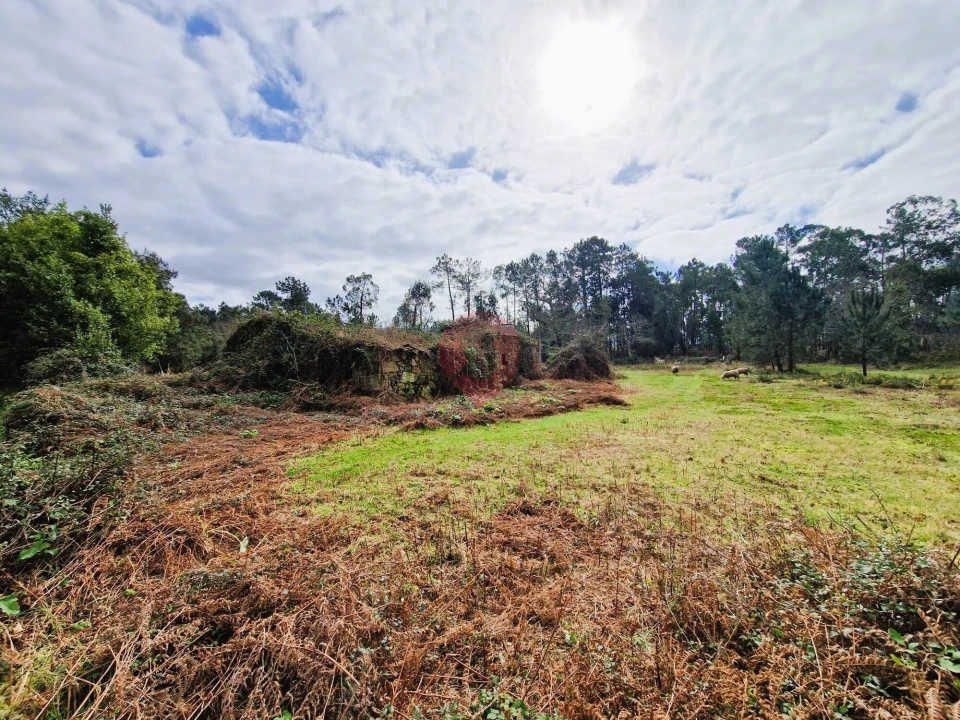 Quinta T2 para Venda em Cerdal Foto 9