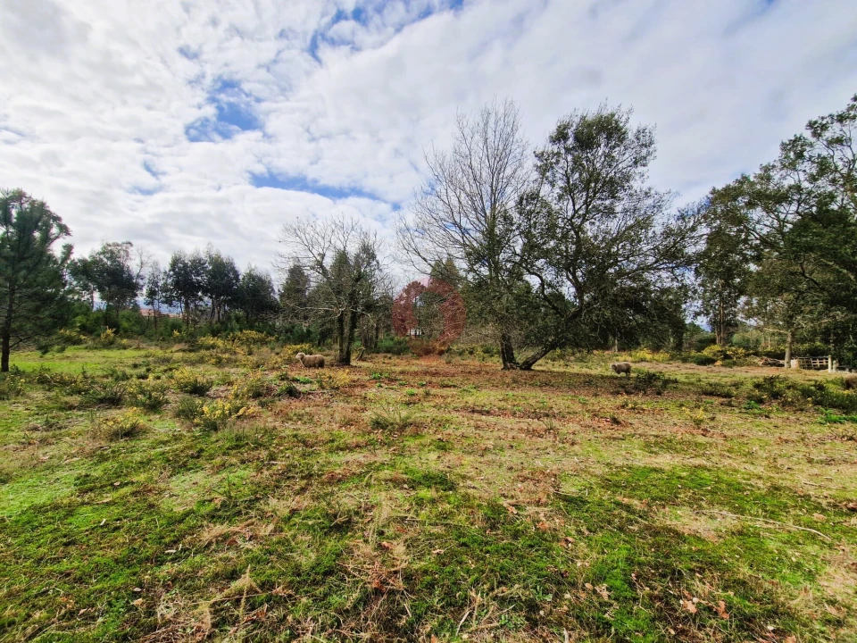 Quinta T2 para Venda em Cerdal Foto 4