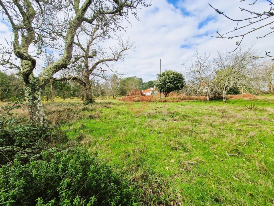 Quinta T2 para Venda em Cerdal Foto 7