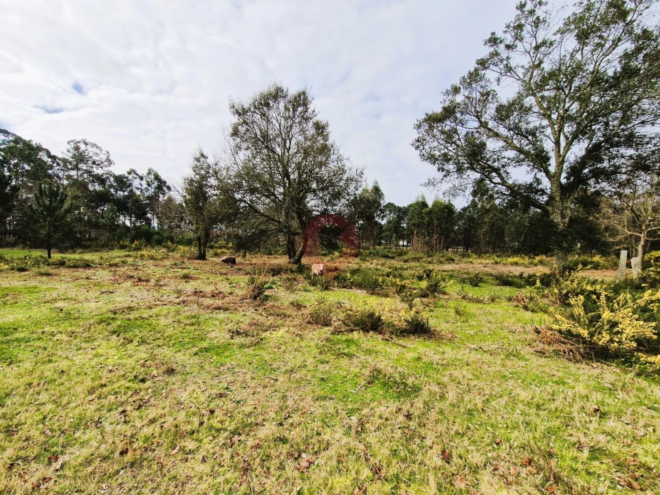 Quinta T2 para Venda em Cerdal Foto 8