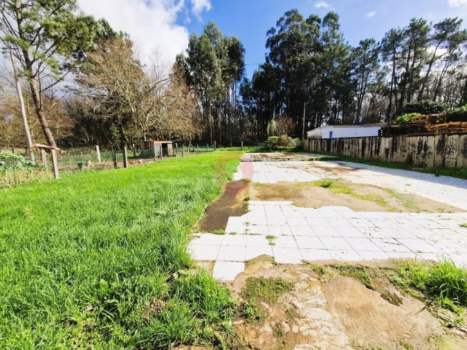 Prédio para Venda em Gandra e Taião Foto 15