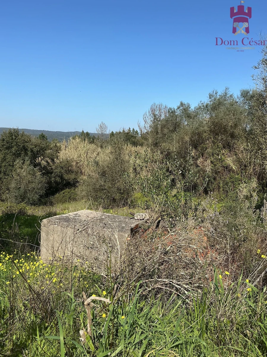 Moradia T2 para Venda em Raposa Foto 17