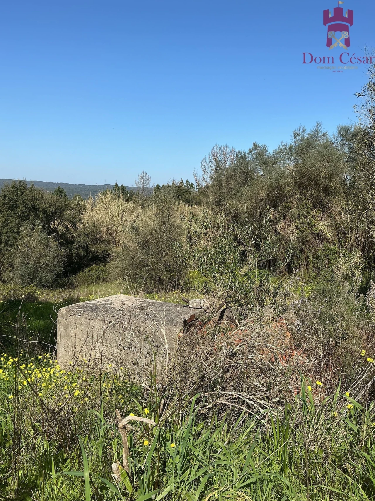 Moradia T2 para Venda em Raposa Foto 17