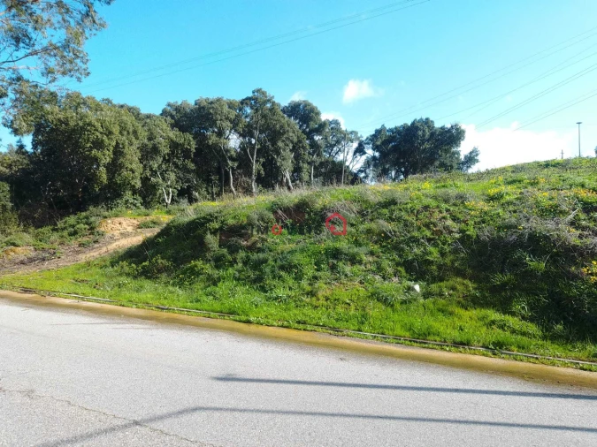 Terreno para Venda em Marvila, Ribeira Santarém, São Salvador, São Nicolau Foto 3