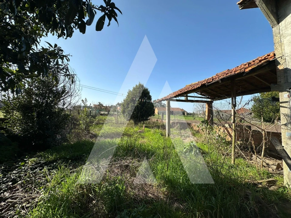 Moradia T2 para Venda em Bustos, Troviscal e Mamarrosa Foto 19