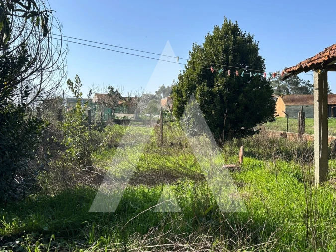 Moradia T2 para Venda em Bustos, Troviscal e Mamarrosa Foto 18