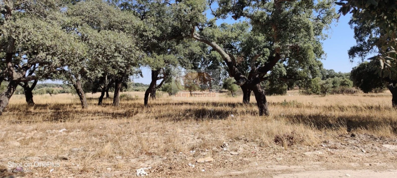 Moradia T3 para Venda em Grândola e Santa Margarida da Serra Foto 8