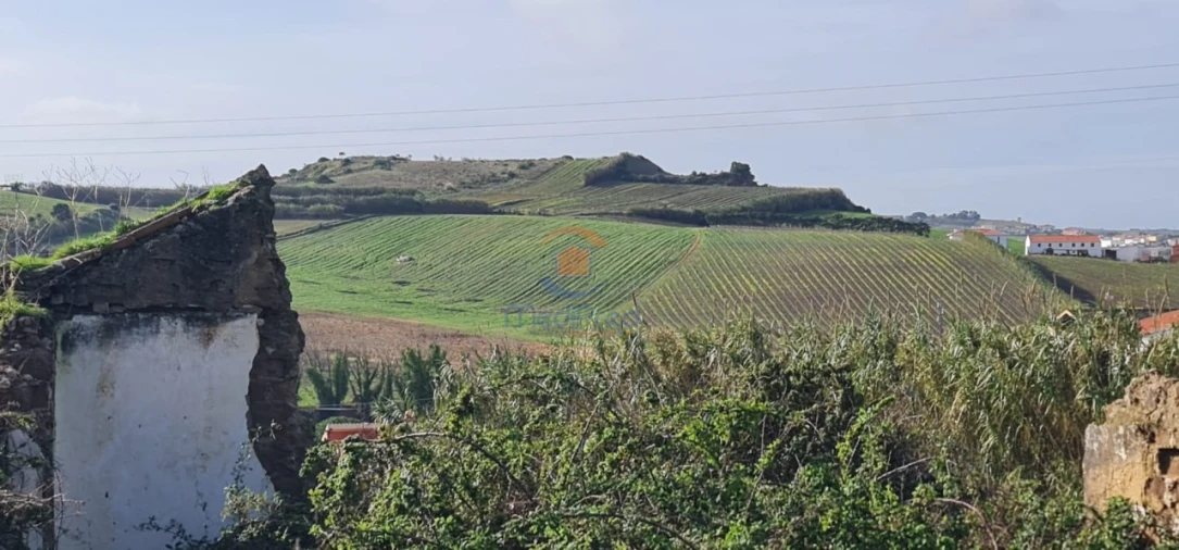 Moradia T3 para Venda em Ventosa Foto 3